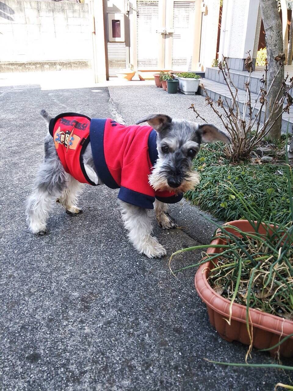 アルバムに残ったままのあの子の写真